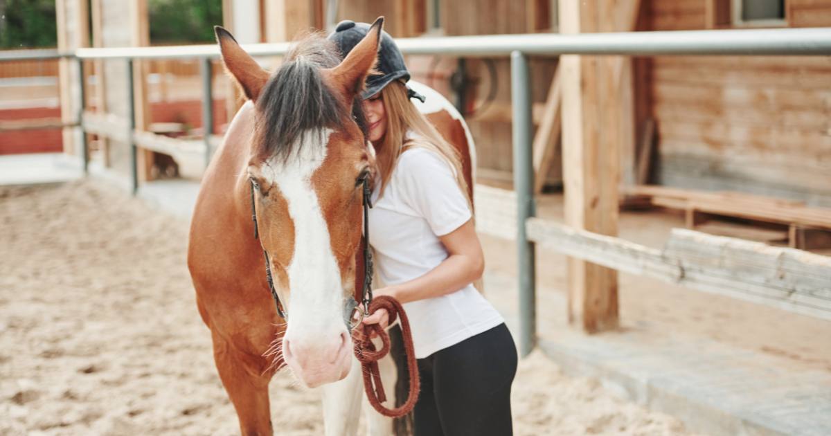 How To Calm Your Horse How To Calm Your Horse