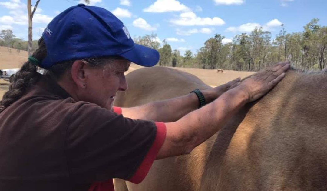 What Is Reiki For Horses?