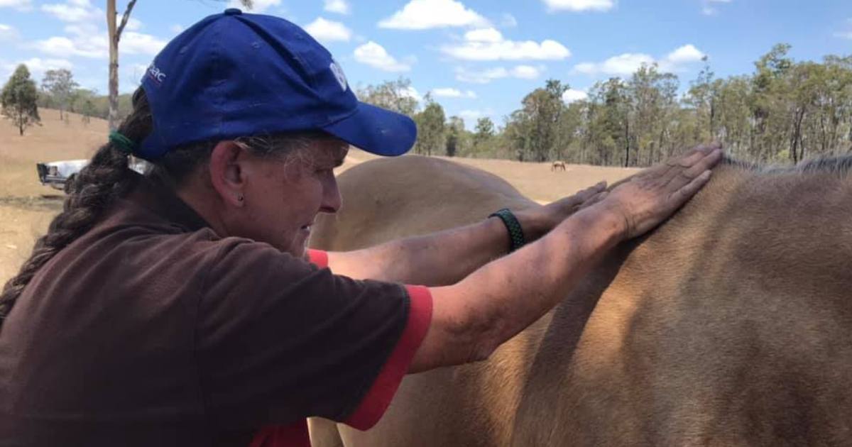 What Is Reiki For Horses