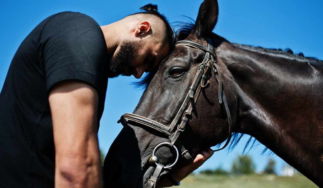 The Role of Equine Reiki in Building Stronger Bonds