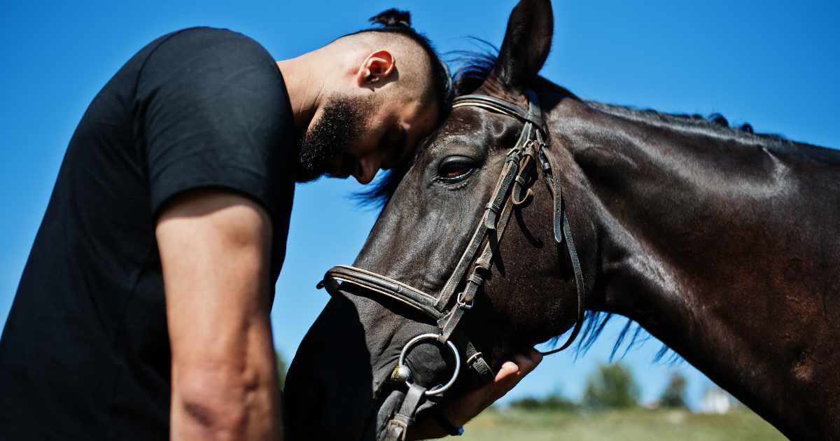 Horse bond Horse bond