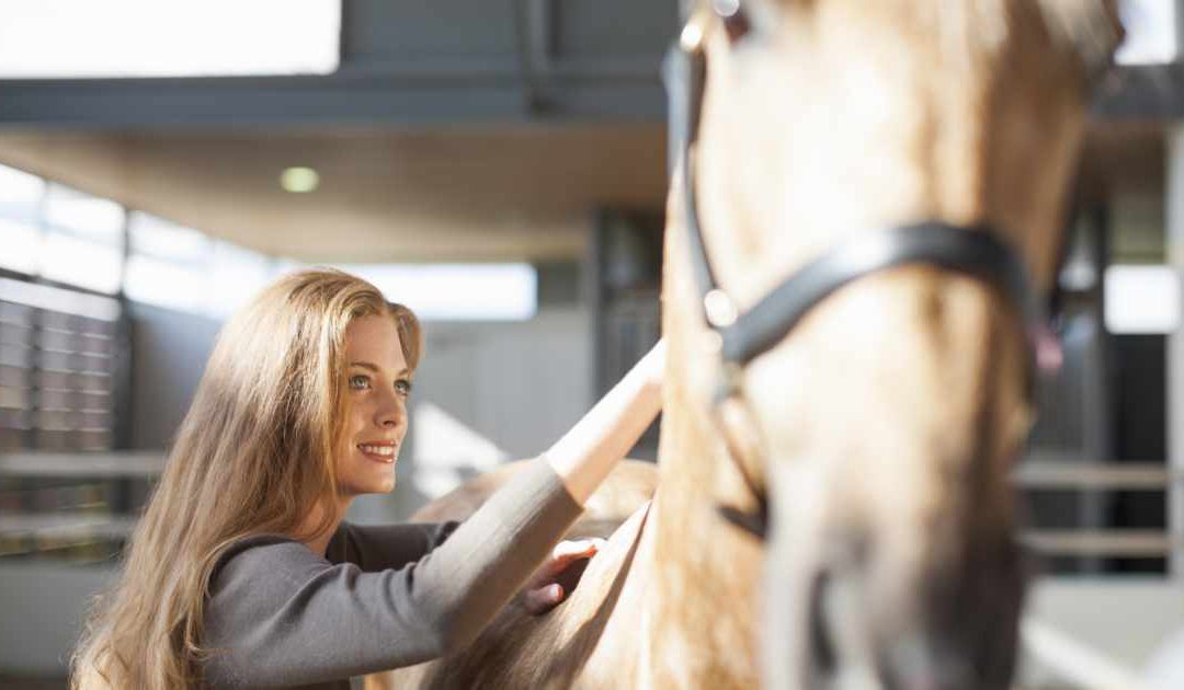 The Art of Equine Massage: Techniques to Try at Home