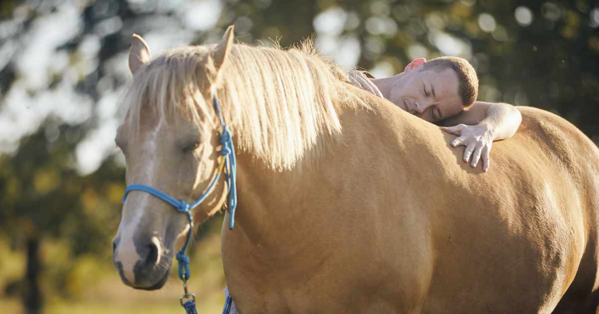 Man embracing horse